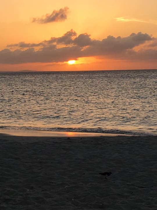 Strand Hotel Playa Pesquero