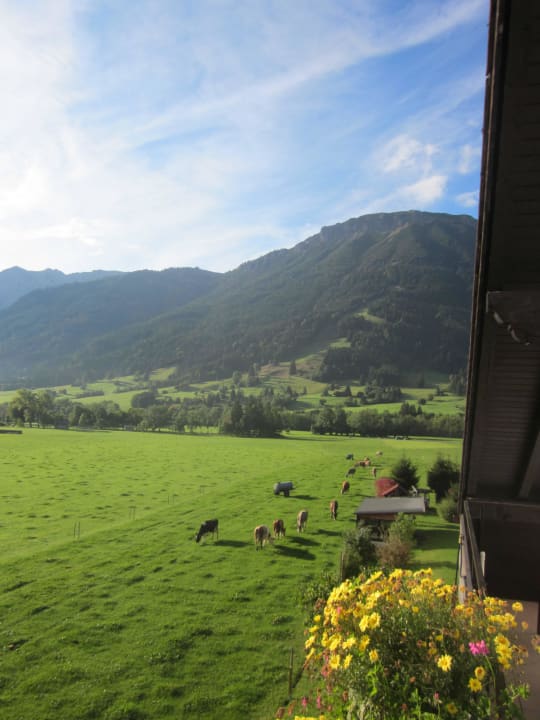 Balkonblick Apartments Alpensonne 2000