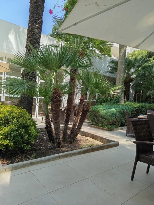 Gartenanlage Aparthotel Ses Fotges