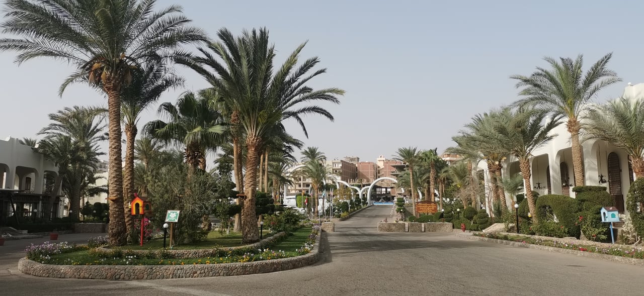 Gartenanlage Arabia Azur Resort