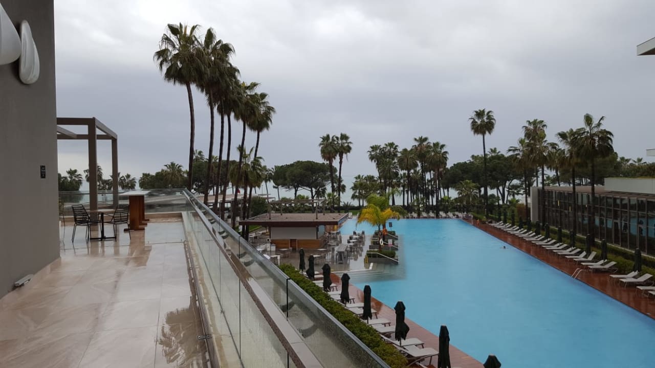 Pool Acanthus Cennet Barut Collection