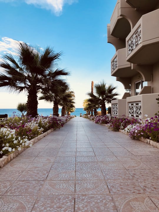 Ausblick Rodos Palladium Leisure & Wellness