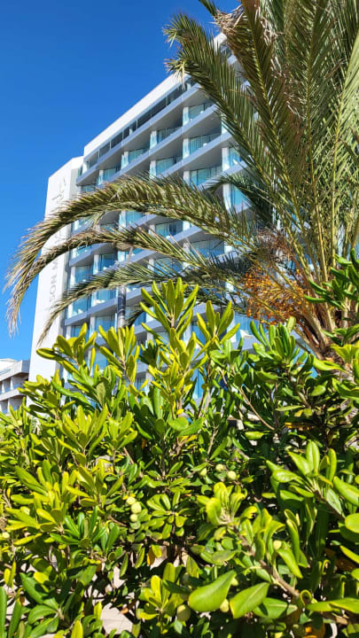 Gartenanlage Son Moll Sentits Hotel & Spa