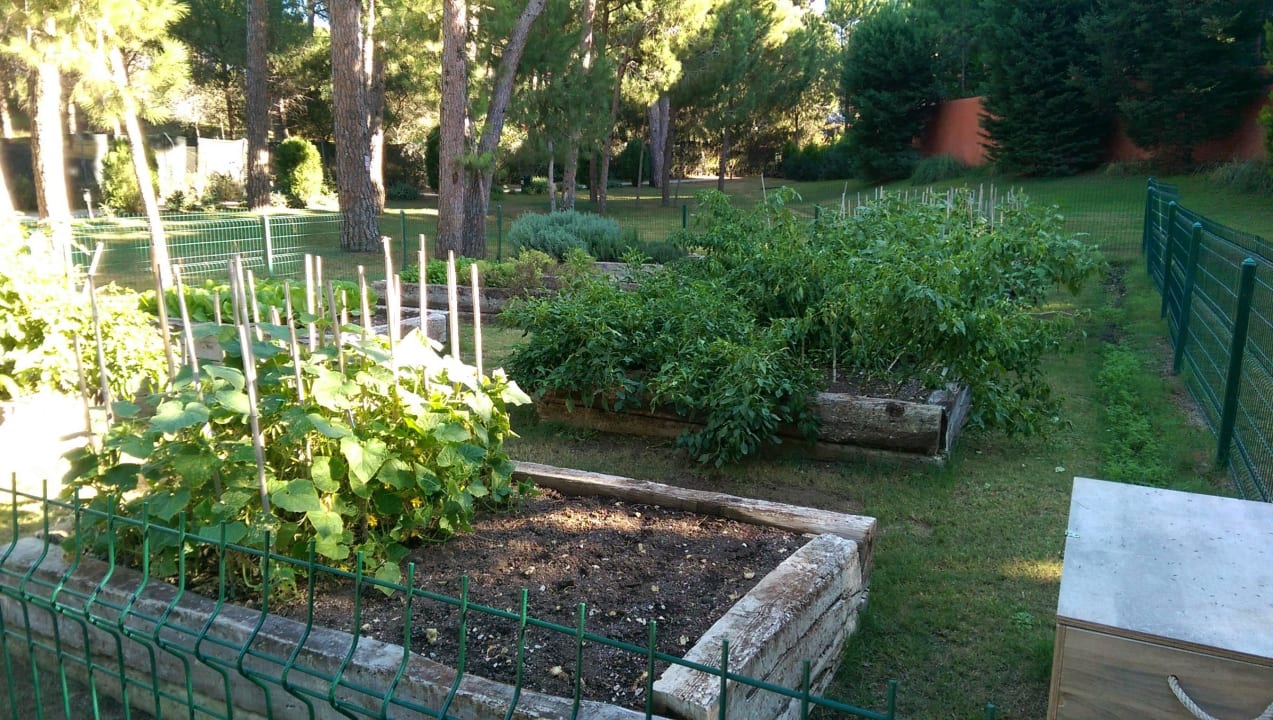 Отель Voyage Belek Golf & Spa