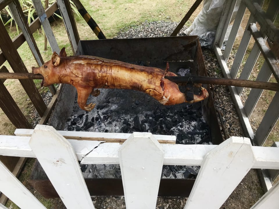 Gastro BelleVue Dominican Bay