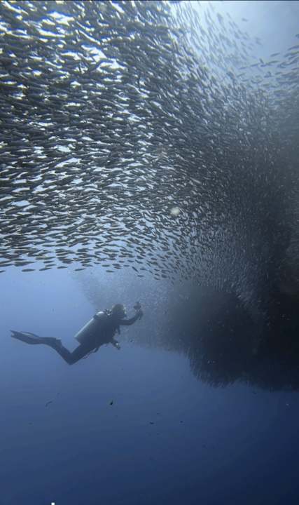 Sport & Freizeit Pescadores Seaview Suites Resort