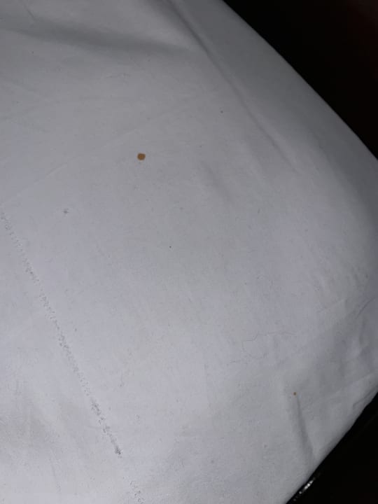 Zimmer Melia Las Dunas