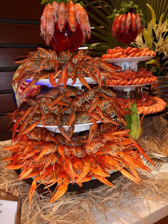 Gastro Arum Barut Collection
