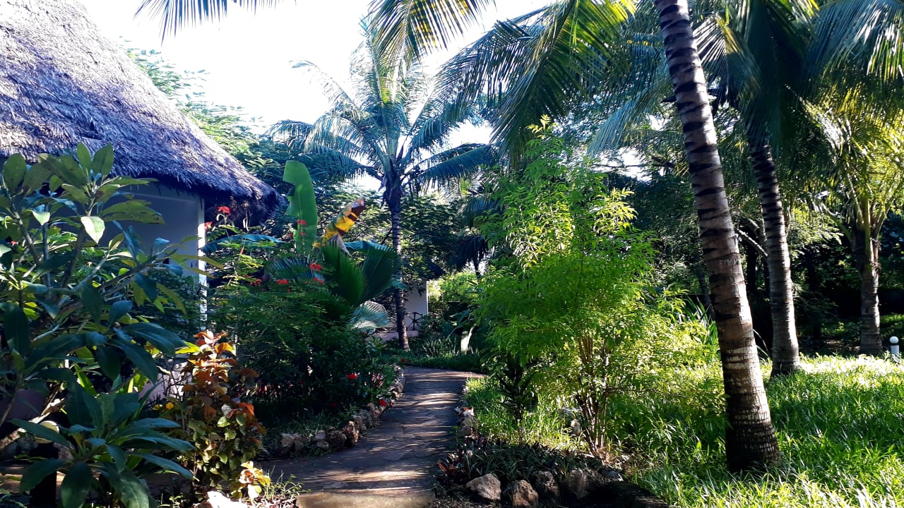 Gartenanlage Spice Island Hotel & Resort