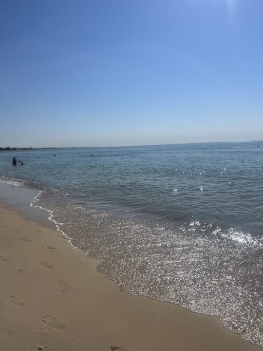 Strand Hotel Royal Nozha