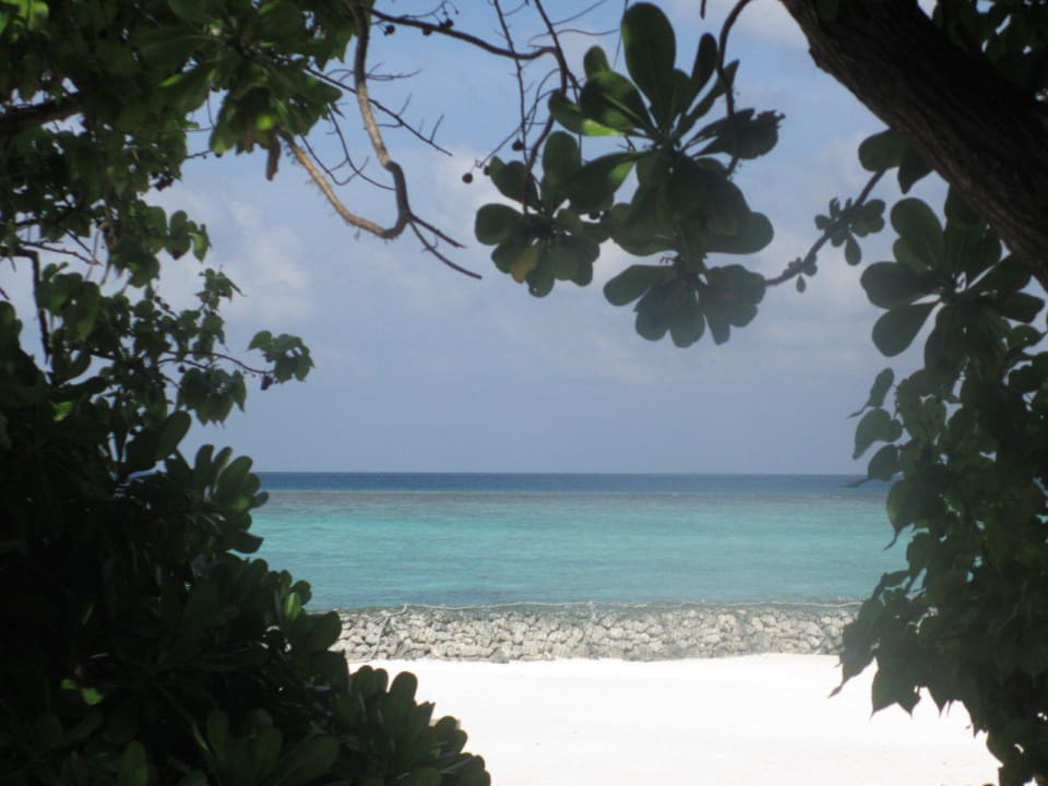 Ausblick vo meinen Bungalow Summer Island Maldives