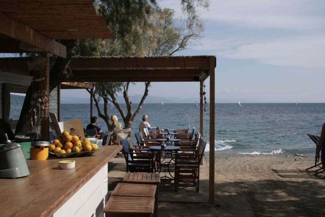 Strandbar TUI BLUE Oceanis Beach and Spa Resort