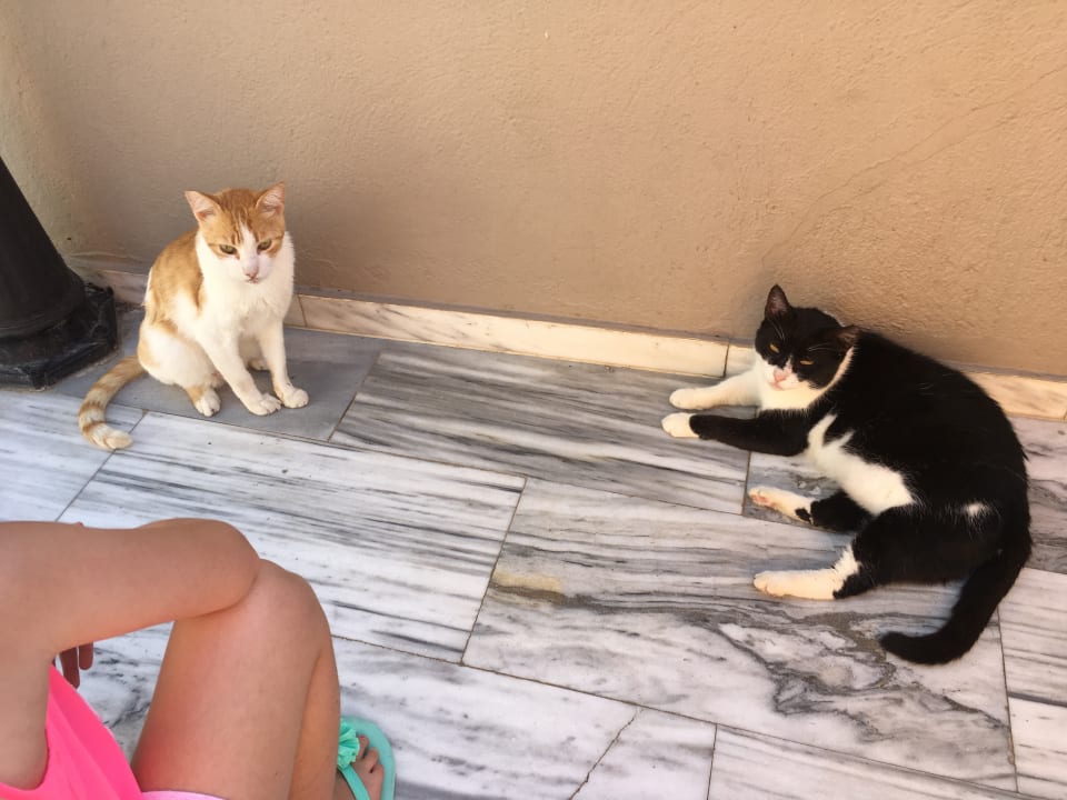 Sonstiges Atlantica Mikri Poli Rhodes