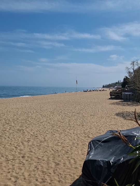 Strand Sentido Marea