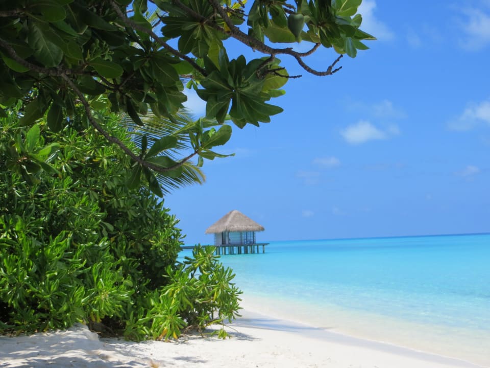 Strand (Lagune) Kuramathi Maldives