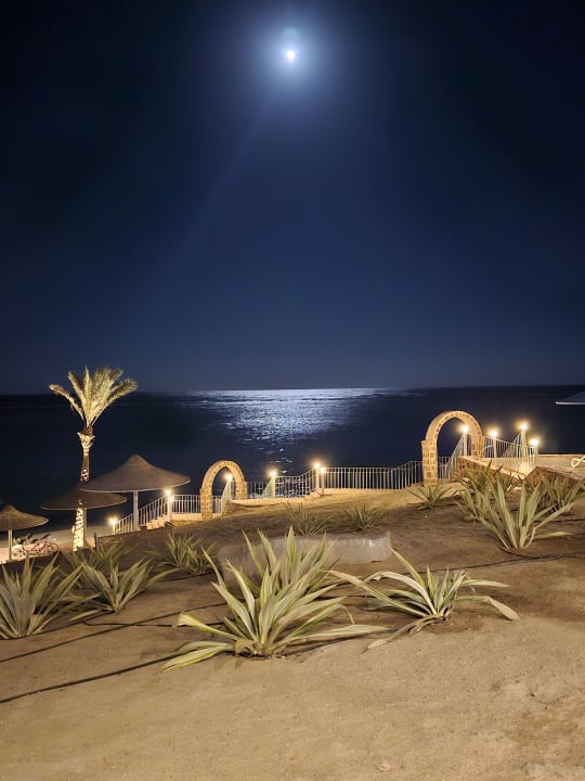 Ausblick Pickalbatros Villaggio Resort - Portofino