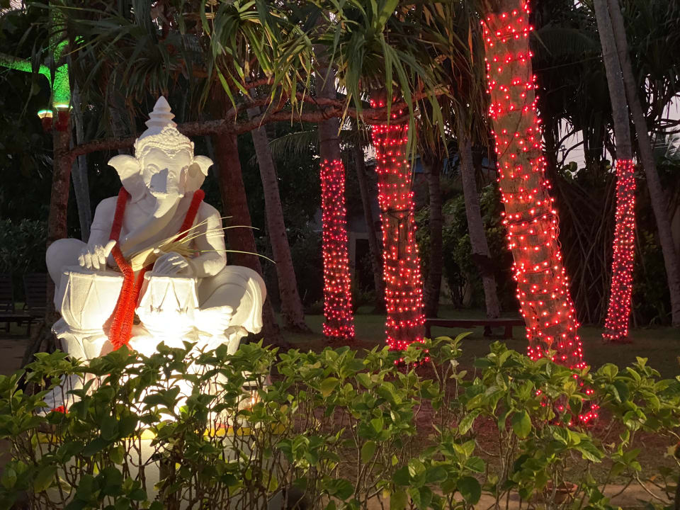 Gartenanlage Ayurveda Paragon Hotel