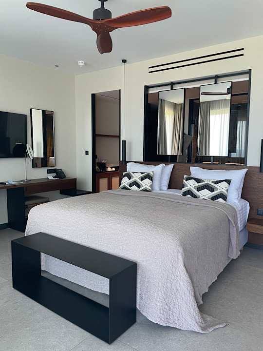 Zimmer King Jason Zante – Designed for Adults