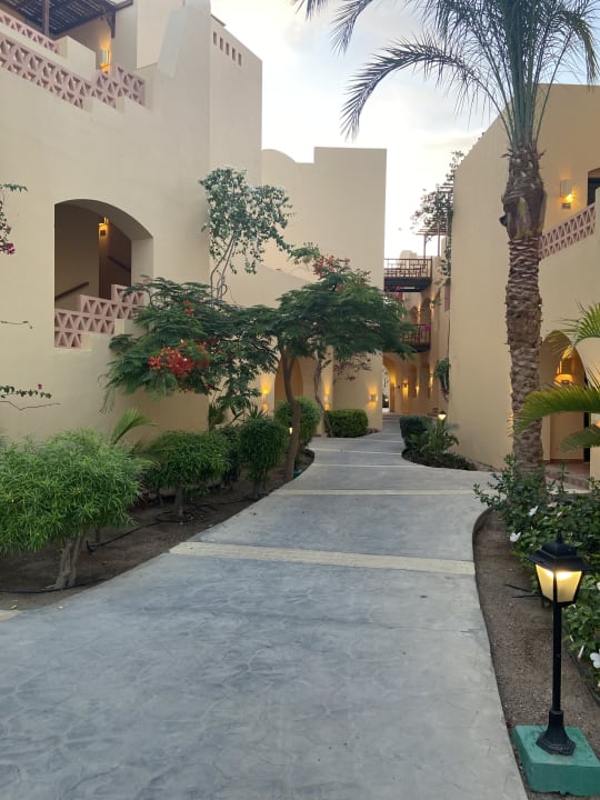 Gartenanlage Steigenberger Coraya Beach - Adults only