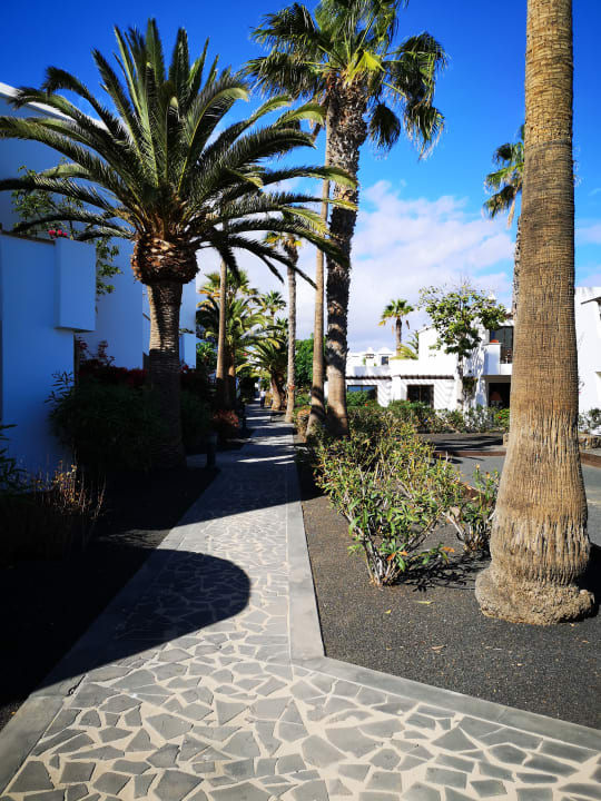 Gartenanlage allsun App.-Hotel Albatros