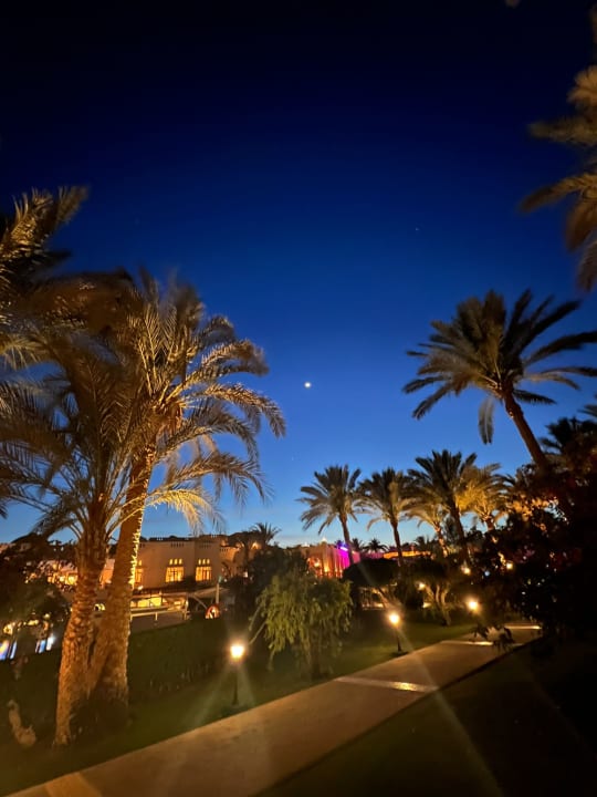 Gartenanlage Steigenberger Coraya Beach - Adults only