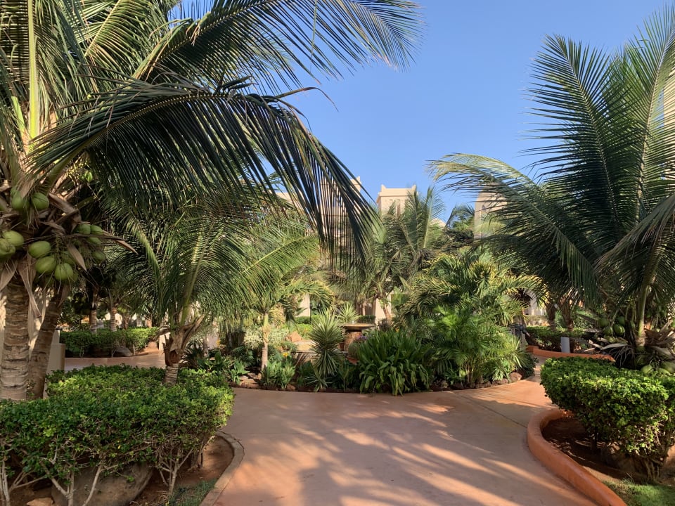 Gartenanlage Hotel Riu Touareg