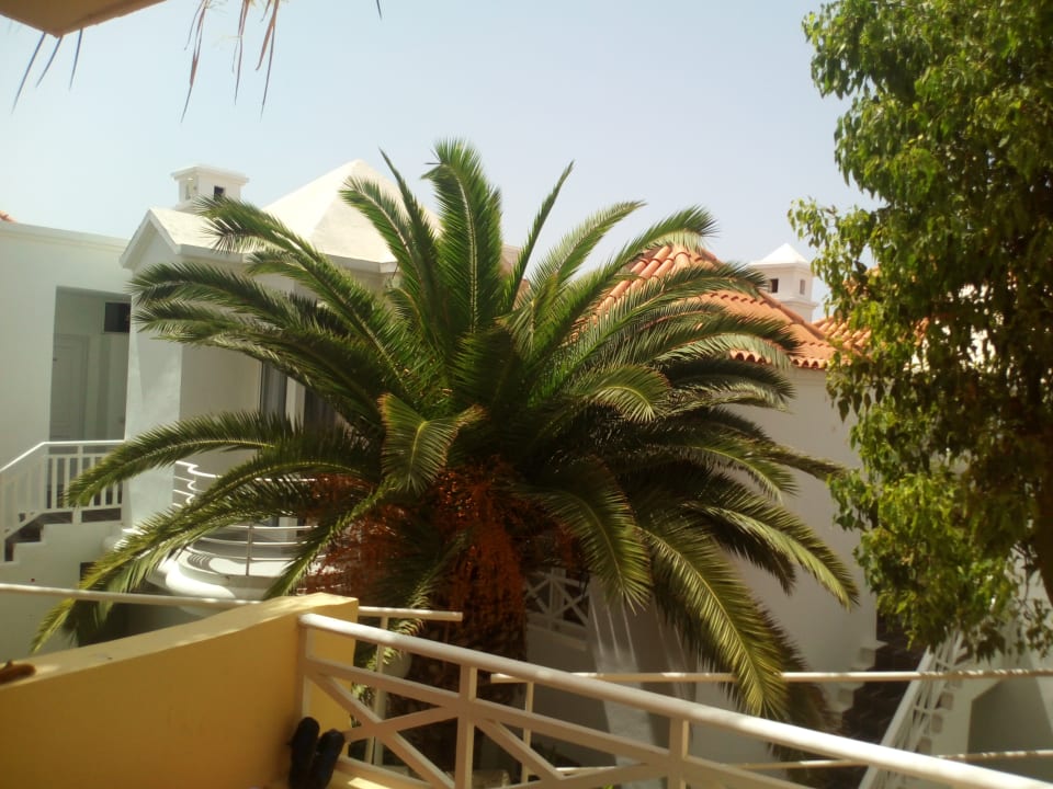 Ausblick Lagos de Fañabé Beach Resort