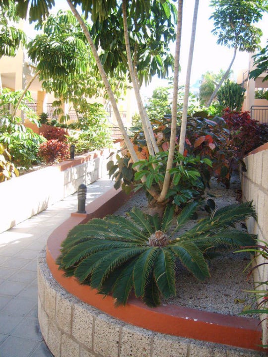 Дорожка в отеле Los Olivos Beach Resort