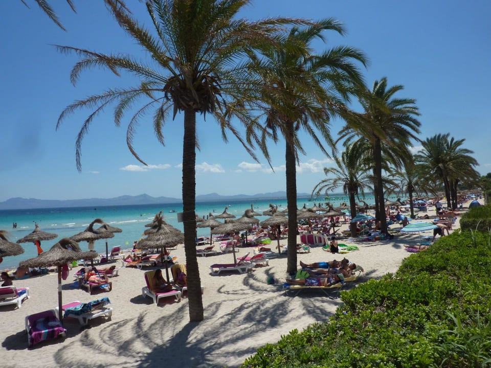 Direkter Strandzugang vom Hotel Hotel Condesa