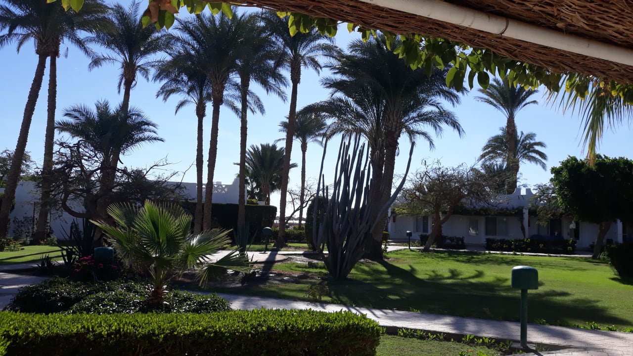 Außenansicht Shams Safaga Resort