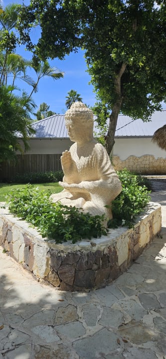 Gartenanlage Secrets La Romana Resort & Spa - Adult Only