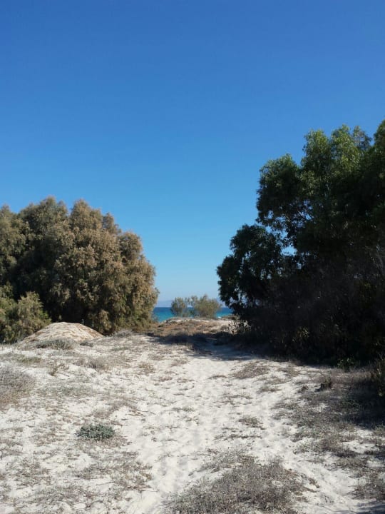 Weg zum Strand  Caravia Beach Hotel