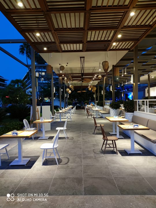 Gastro Acanthus Cennet Barut Collection