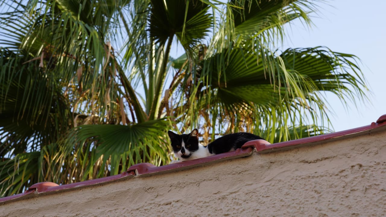 Eressos Villa Marilena