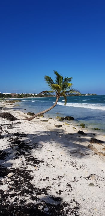 Strand Akumal Bay Beach & Wellness Resort