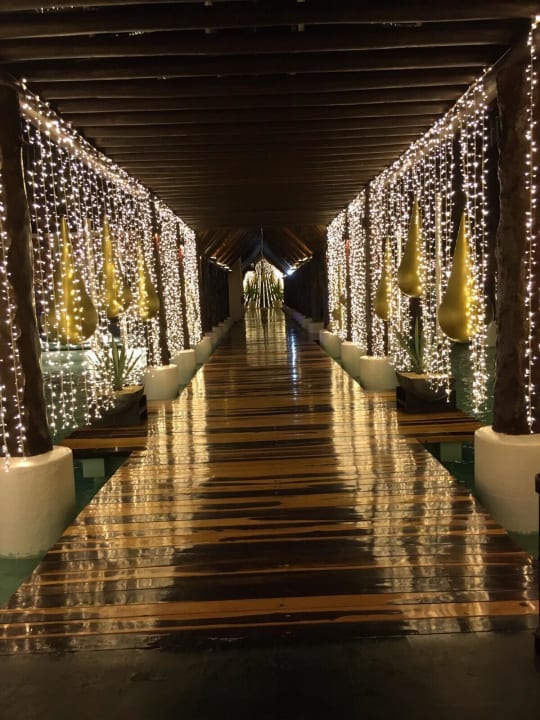 Weihnachtsbeleutung Iberostar Selection Paraiso Lindo