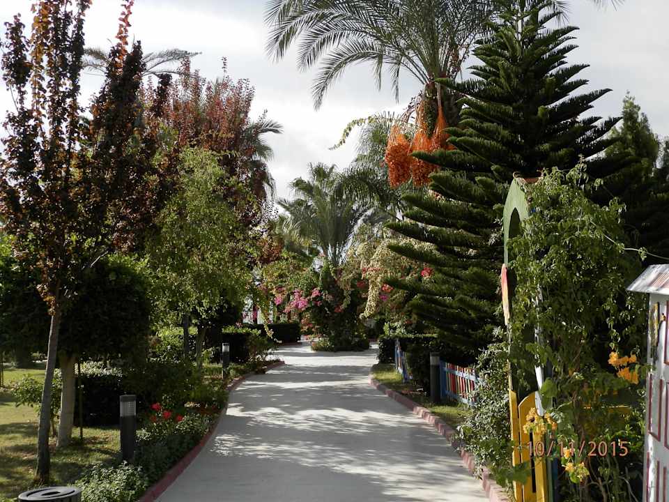 Сад Saphir Resort & Spa