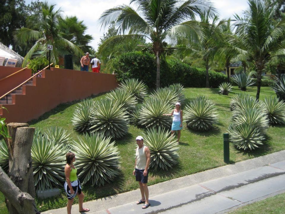 Am Sushi Samba Restaurant Grand Decameron Panama, A Trademark All Inclusive Resort