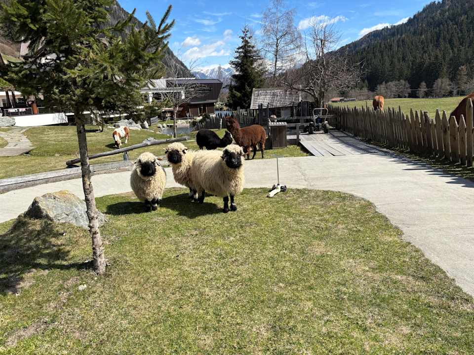 Außenansicht Alphotel Tyrol