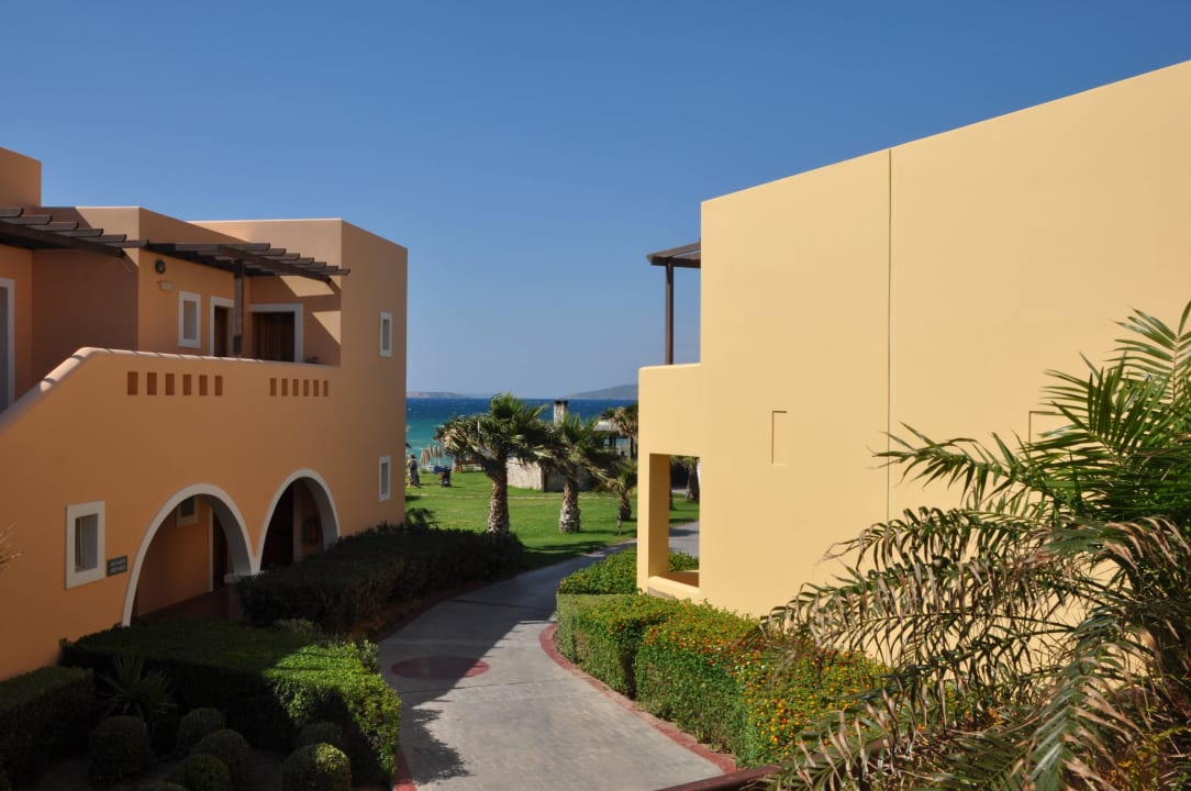 Widok z pokoju Hotel Horizon Beach Resort