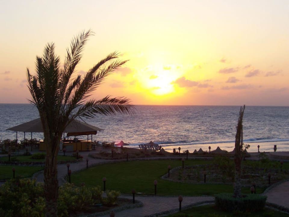 Sonnenaufgang am Roten Meer Sentido Akassia Beach