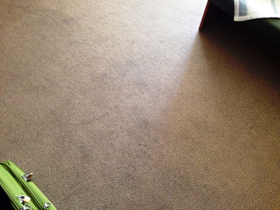 Wer nach Pilzen sucht ist hier richtig ! Hotel Hrizantema