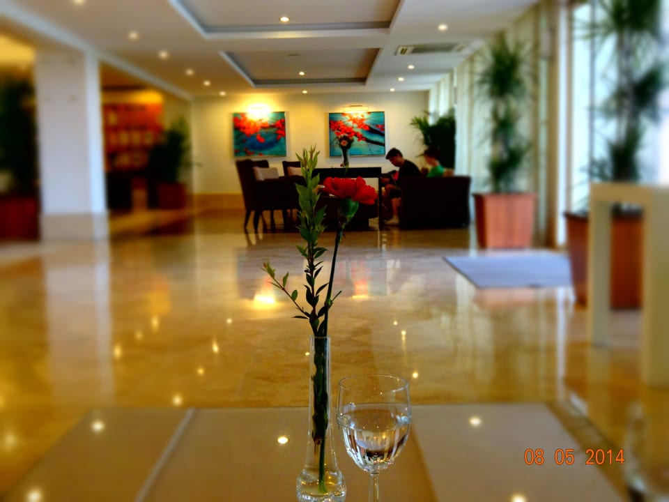 - Sunis Elita Beach Resort & Spa