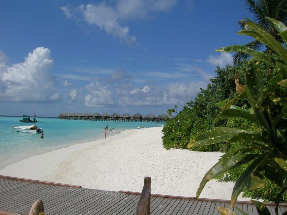 Blick von der Bar Sun Siyam Vilu Reef
