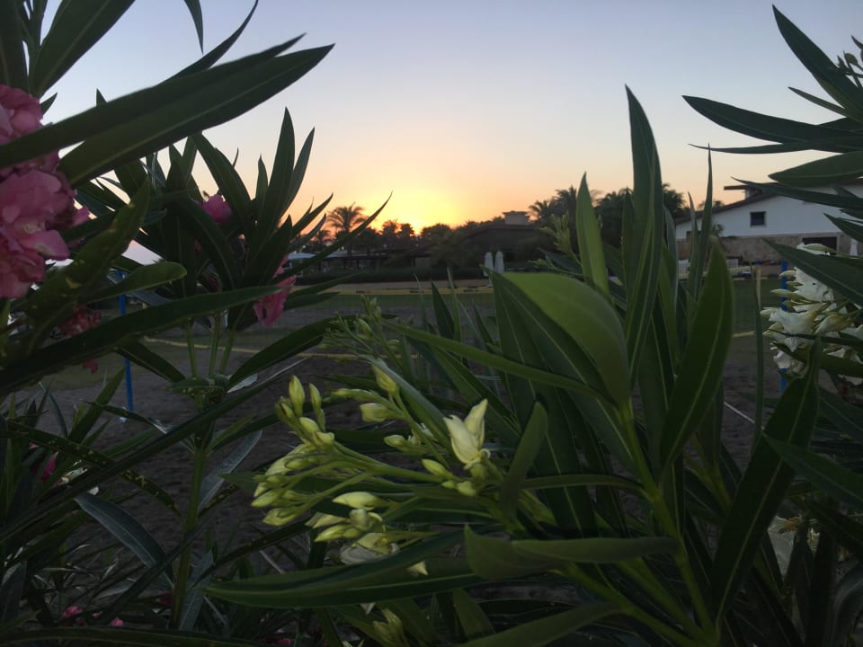 Sonnenuntergang Armas Life Belek