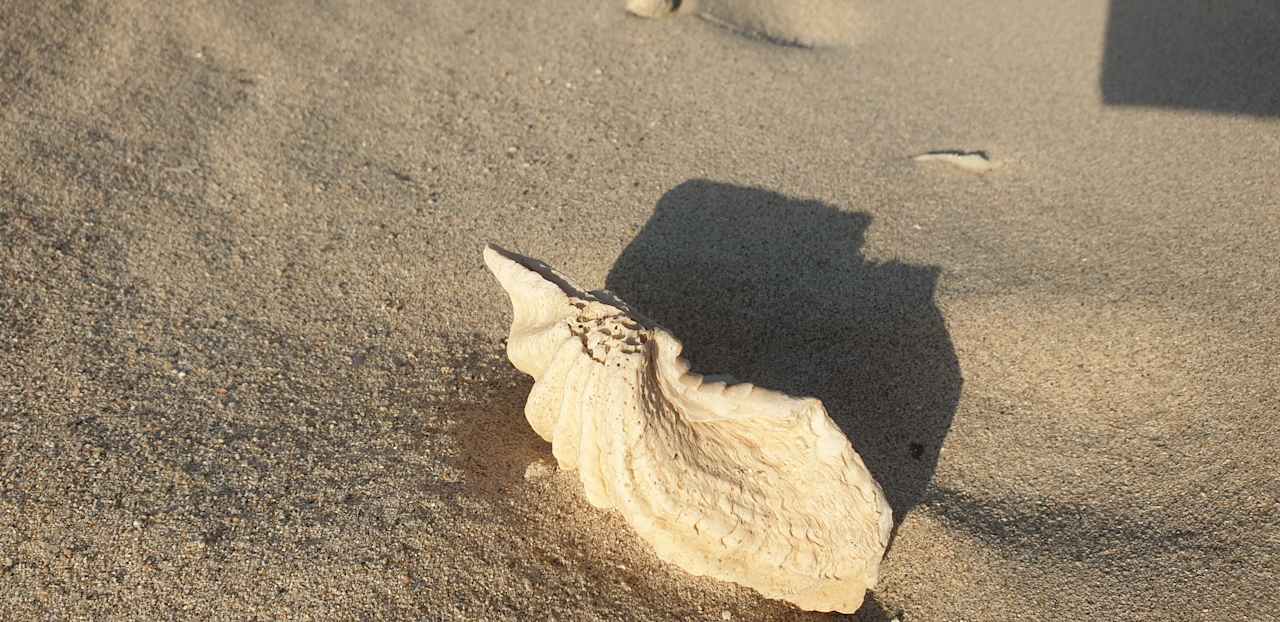 Strand Sentido Akassia Beach