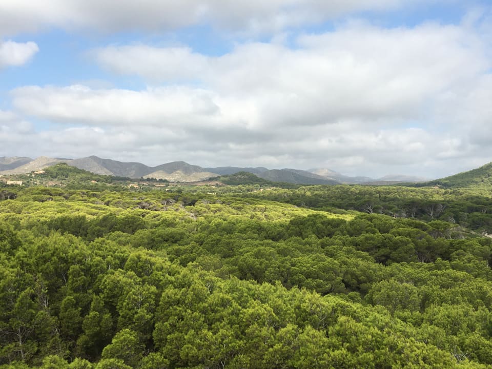 Ausblick Hotel & Spa S'Entrador Playa