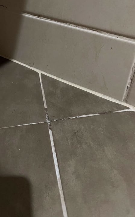 Zimmer Crystal Prestige Elite