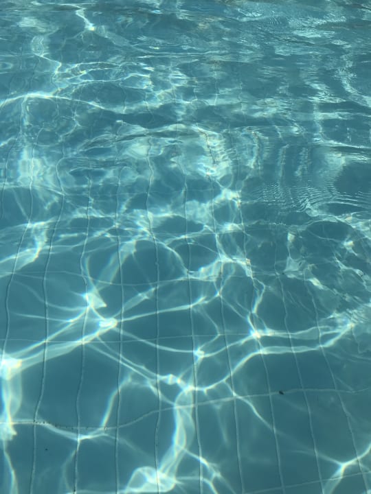 Pool Monachus Family Resort Sorgun