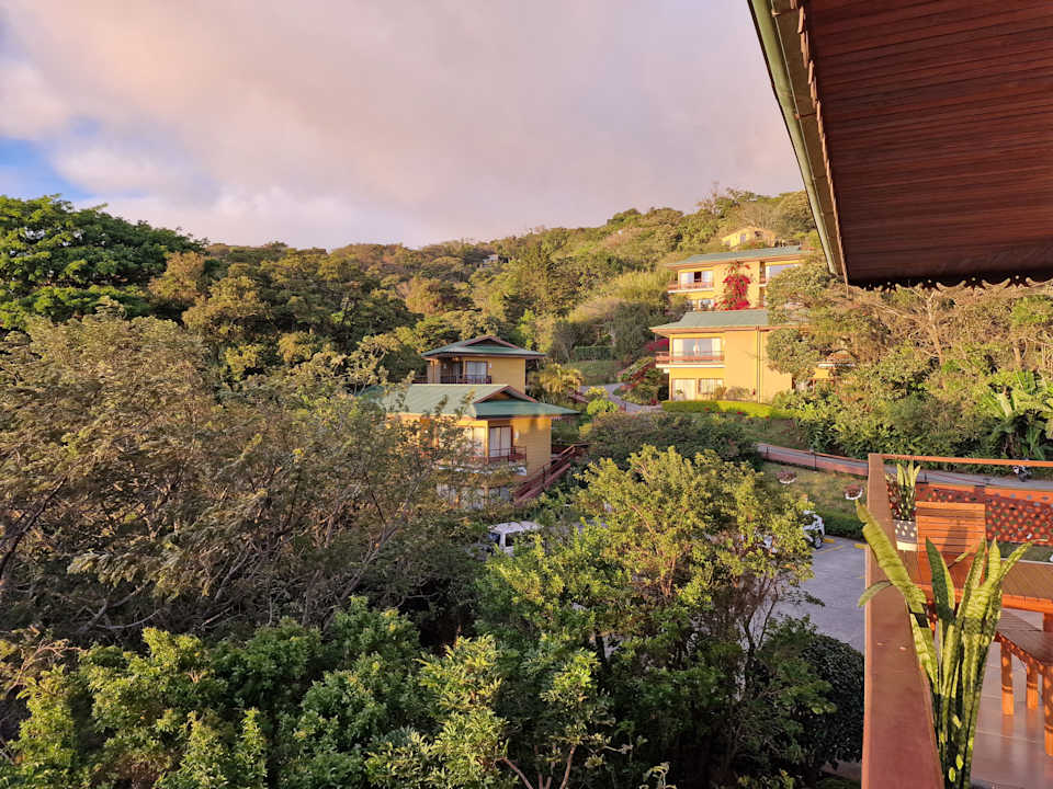 Gartenanlage Hotel Ficus Sunset Suites